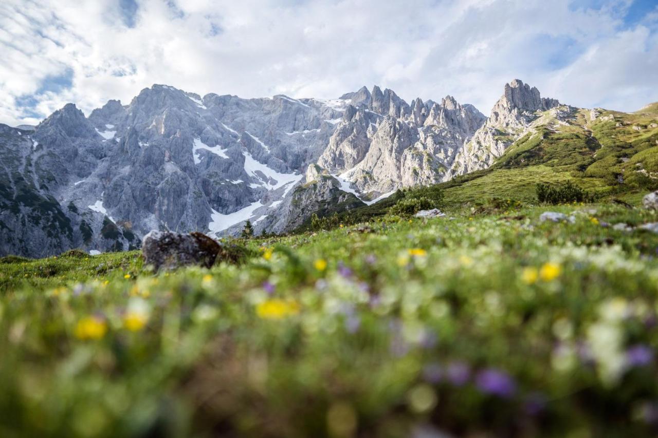 알펜파크 호텔 앤 아파트먼트 호크코니그 Mühlbach am Hochkönig 외부 사진