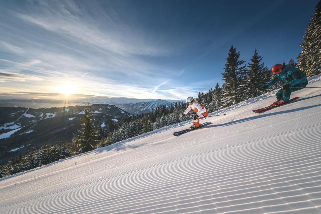 알펜파크 호텔 앤 아파트먼트 호크코니그 Mühlbach am Hochkönig 외부 사진
